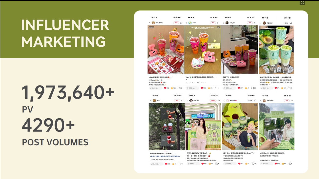 Influencer Marketing — 4290+ KOC posts